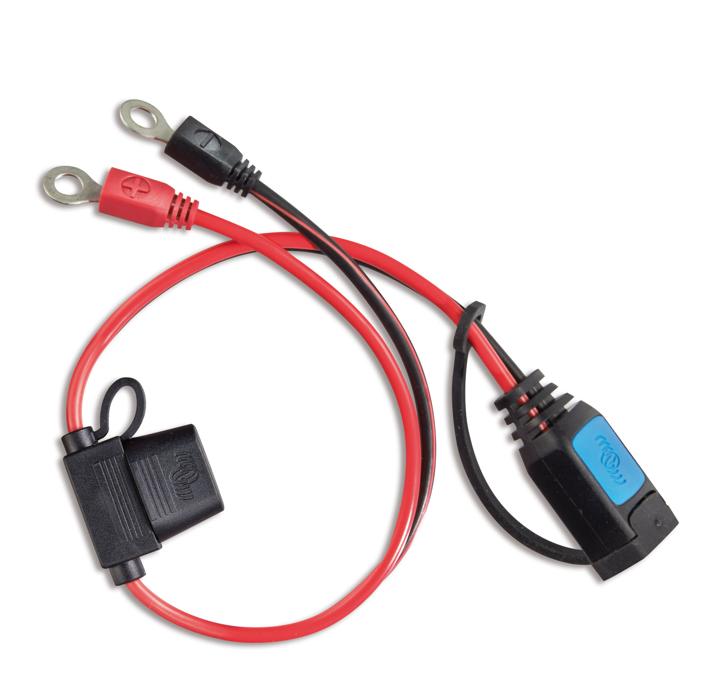 Victron - M8 eyelet connector (with 30A ATO fuse) [BPC900110014]